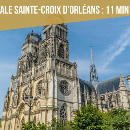 Spacieux Studio Neuf Orleans Centre公寓 外观 照片